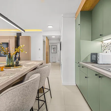 Ada Homes Coresi B8 アパート ブラショフ