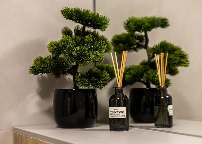 Apartment Ada Homes Coresi B8 *